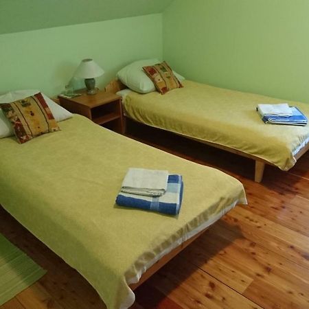 Apartment Kostolic Gajic Exteriér fotografie